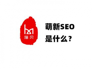 萌新SEO是什么？萌新seo为什么那么会喊666？